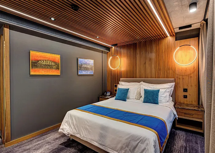 Vibre Клуж-Напока